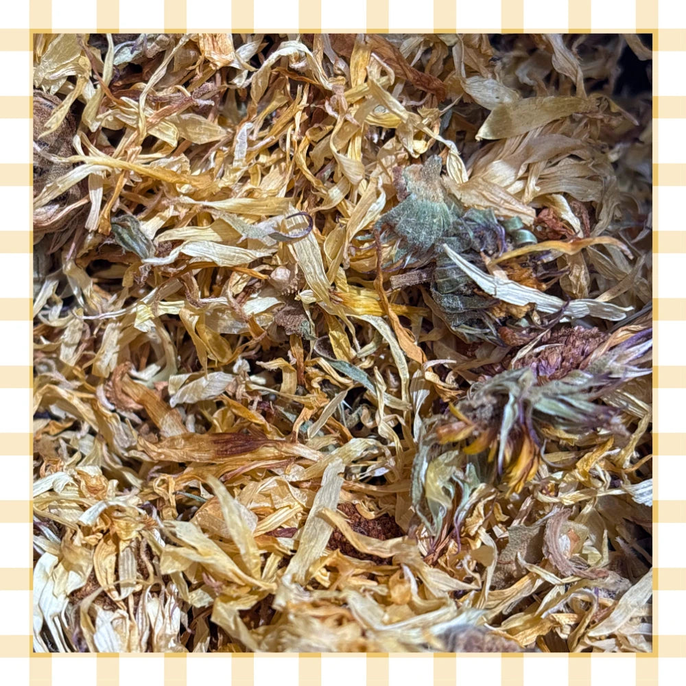 Fiori di Calendula Interi Sfusi (Capitula)