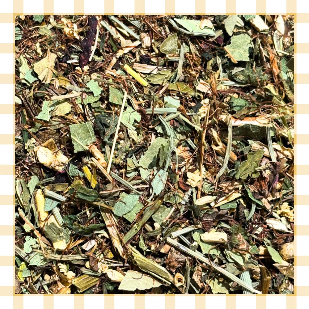 Composto di Equiseto Sfuso