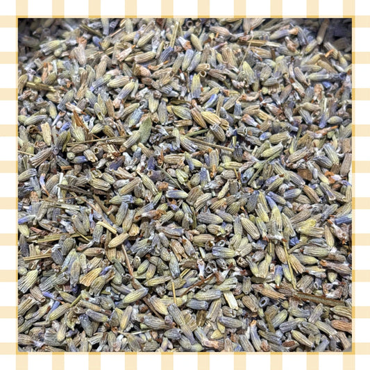 Lavanda officinale - fiori